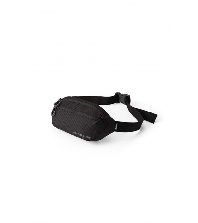 Чантичка Gregory Nano Waistpack Mini 3L