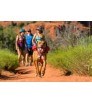 Ruffwear Раница за куче Singletrak Dog Pack